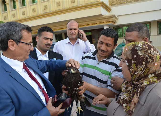 في بيان رسمي.. محافظ كفر الشيخ يأمر بعلاج “نسر” في حالة نفسية سيئة