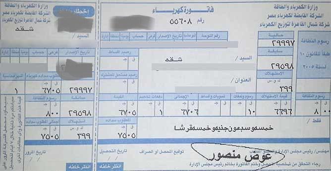زوجان يقتلان محصل كهرباء بسبب الخلاف على قيمة الفاتورة