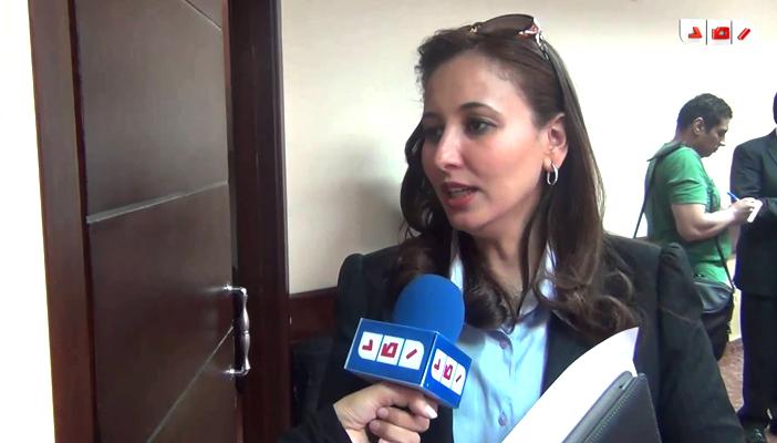 نيفين ملك للأحزاب المنفصلة عن التحالف الوطني: الوقت لا يحتمل الخلاف