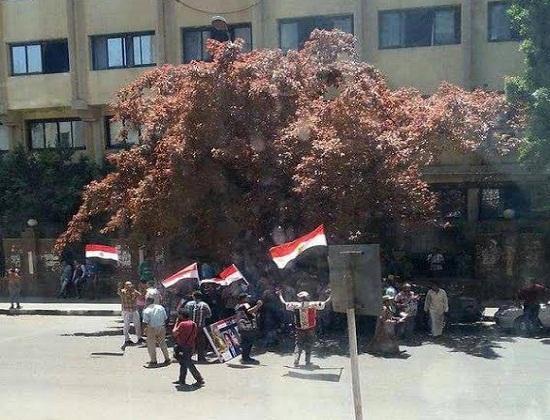 بالفيديو.. مؤيدو السيسي يستفزون الصحفيين أمام نقابتهم بـ”تسلم الأيادي”