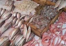 الغرفة التجارية: ارتفاع أسعار الأسماك المستوردة بنسبة 25%