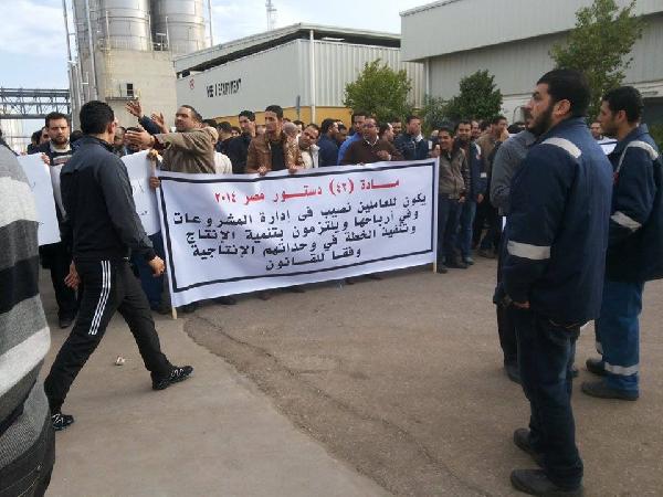 لليوم الخامس.. استمرار إضراب عمال “البروبيلين” ببورسعيد