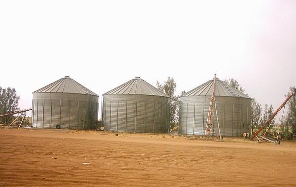 بالمستندات.. إهدار 9.5 مليون جنيه لحساب شركة إماراتية فى صفقة قمح