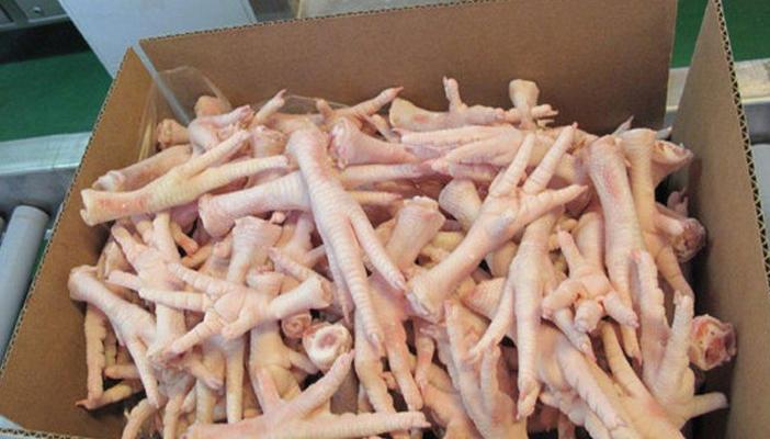 الفقراء يلجؤون لهياكل الدجاج بعد ارتفاع أسعاره بالمنوفية