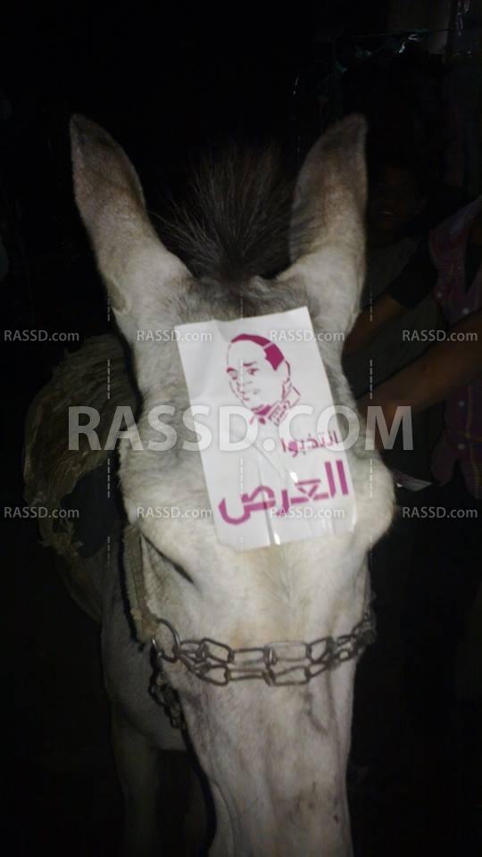 مسيرة مناهضة للانقلاب بالفيوم