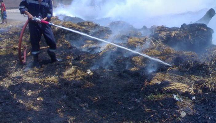 اندلاع حريق في 150 فدانًا من القمح بمدينة الصالحية بالشرقية