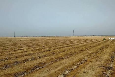 الريف المصري: “المليون ونصف فدان” يفشل.. وخبراء: هدر لموارد الدولة