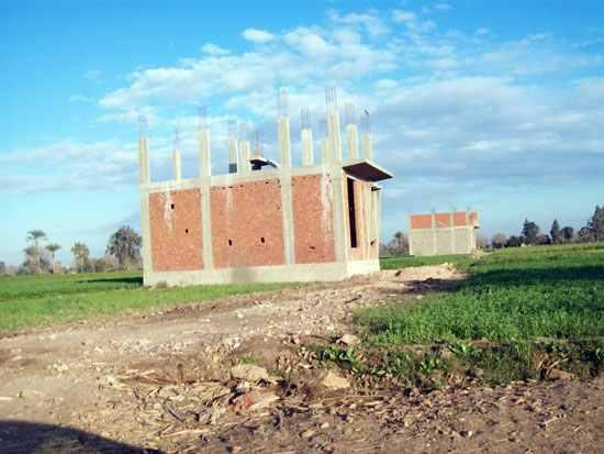 دراسة: نقص في الأراضي الزراعية بأسوان بنسبة 96 %