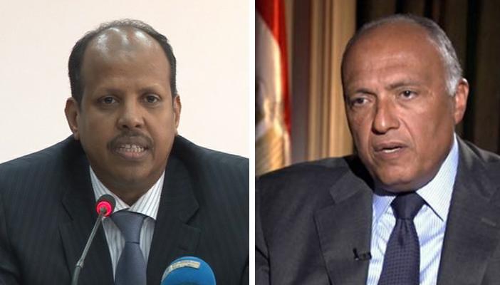 وزيرا خارجية جيبوتي ومصر يؤكدان أهمية مكافحة القرصنة