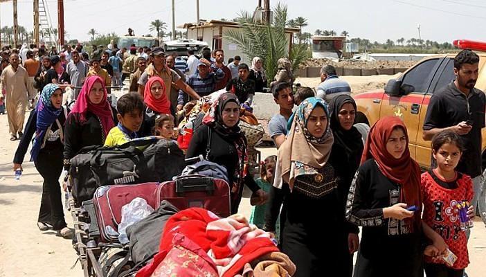 7 آلاف عائلة نزحت من الأنبار منذ سقوطها بيد داعش