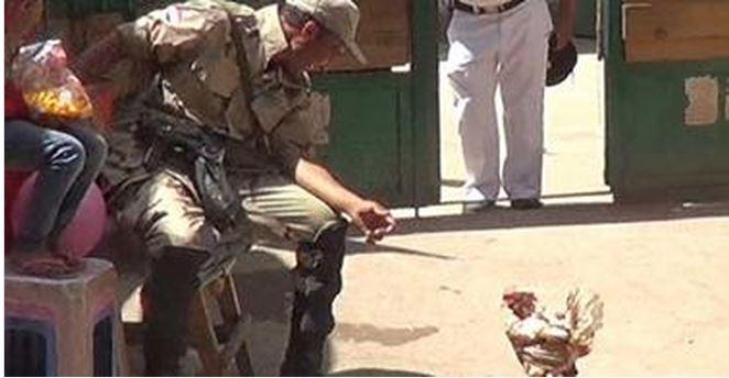 “فرخة” تقتحم لجنة انتخابية فارغة ببولاق الدكرور