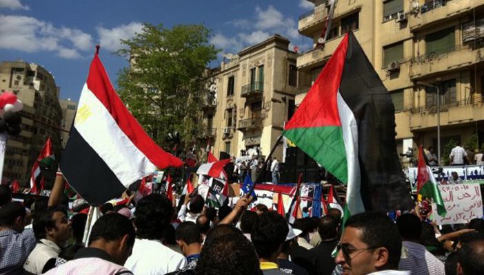 “الفقي” يعدد أسباب استبعاد الشأن الفلسطيني من وعي ثورات الربيع العربي