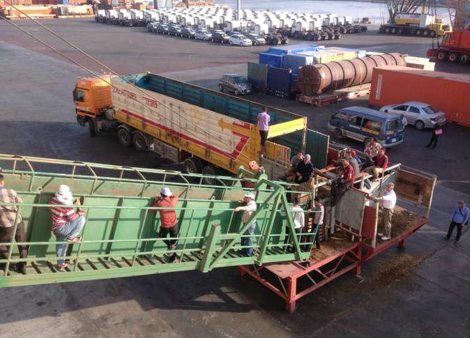 الإمارات تقدم 100 ألف رأس ماشية هدية للجيش المصري