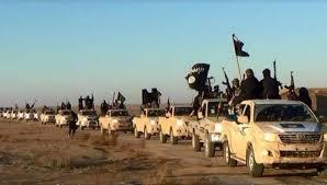 عمليات  تنظيم الدولة بالصحراء الغربية ..وتمدد لا يتوقف
