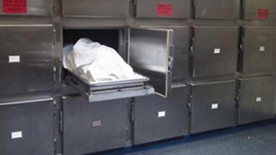 مصرع 7 وإصابة 24 في حادث سير بالجيزة