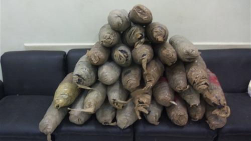 الأمن يحبط محاولة تهريب 2 طن بانجو بطور سيناء