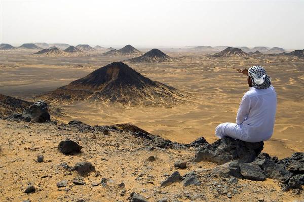 “تويوتا” تبحث إقامة مصنع أسمدة فوسفاتية بـ 400 مليون دولار