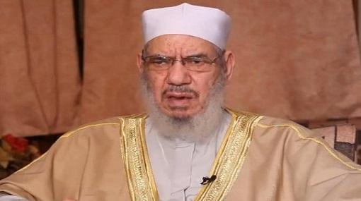 المحلاوي:استكمال مؤسسات الدولة ينهي الإنقسامات السياسية