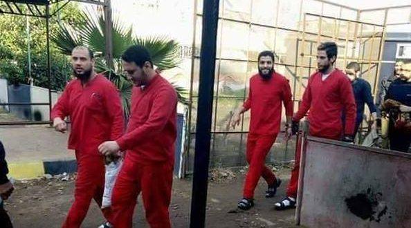 الترويع وتمرير «اتفاقية صنافير».. دلالات حملة الإعدامات الأخيرة في مصر