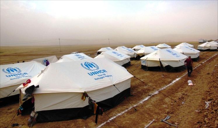 الأمم المتحدة: عدد اللاجئين حول العالم تجاوز الـ 50 مليونا