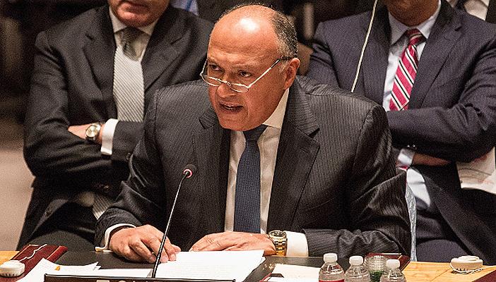 بالفيديو.. وزير الخارجية: لا توجد اتفاقيات تسليم مجرمين مع ألمانيا