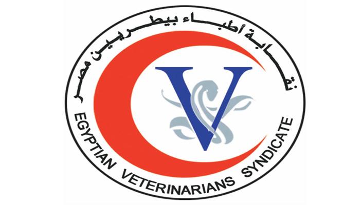 بيطريو الإسكندرية يدشنون حملة لمطالبة الحكومة بالكادر