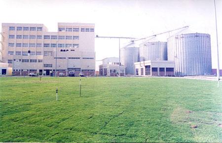 200مليون دولار لبناء صوامع القمح