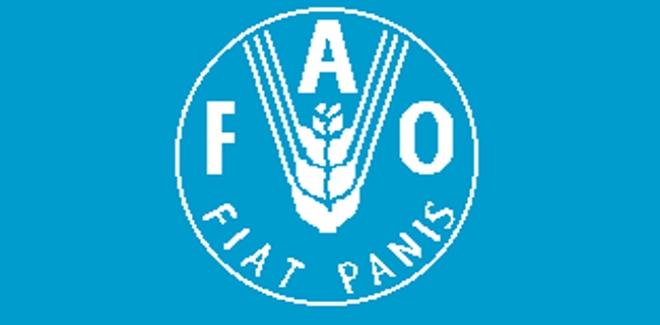 “فاو” تكشف أول عشرة طفيليات تنتقل عبر الغذاء