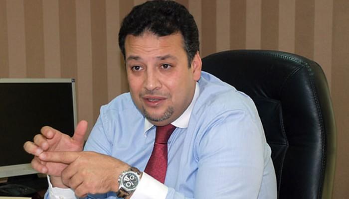 عصام سلطان وعلاء عبدالفتاح.. والبرادعي وصديقه ليون