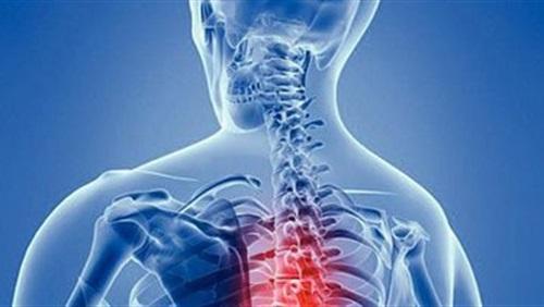 هرمون بالنخاع العظمي يؤثر على التمثيل الغذائي والصحة