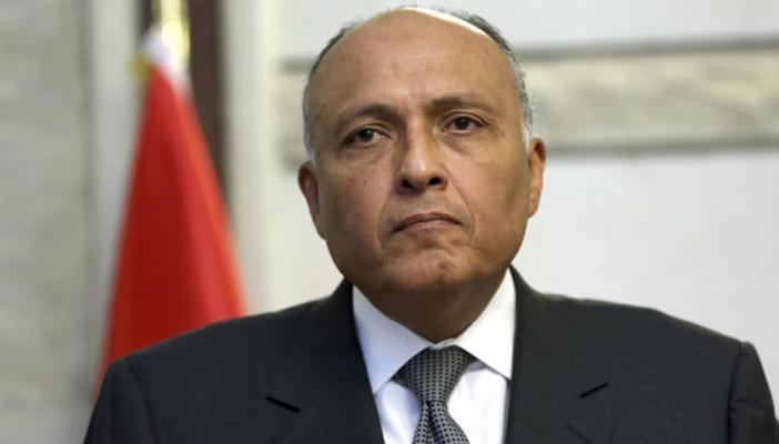 سامح شكري يلتقي وفد المعارضة السورية غدًا