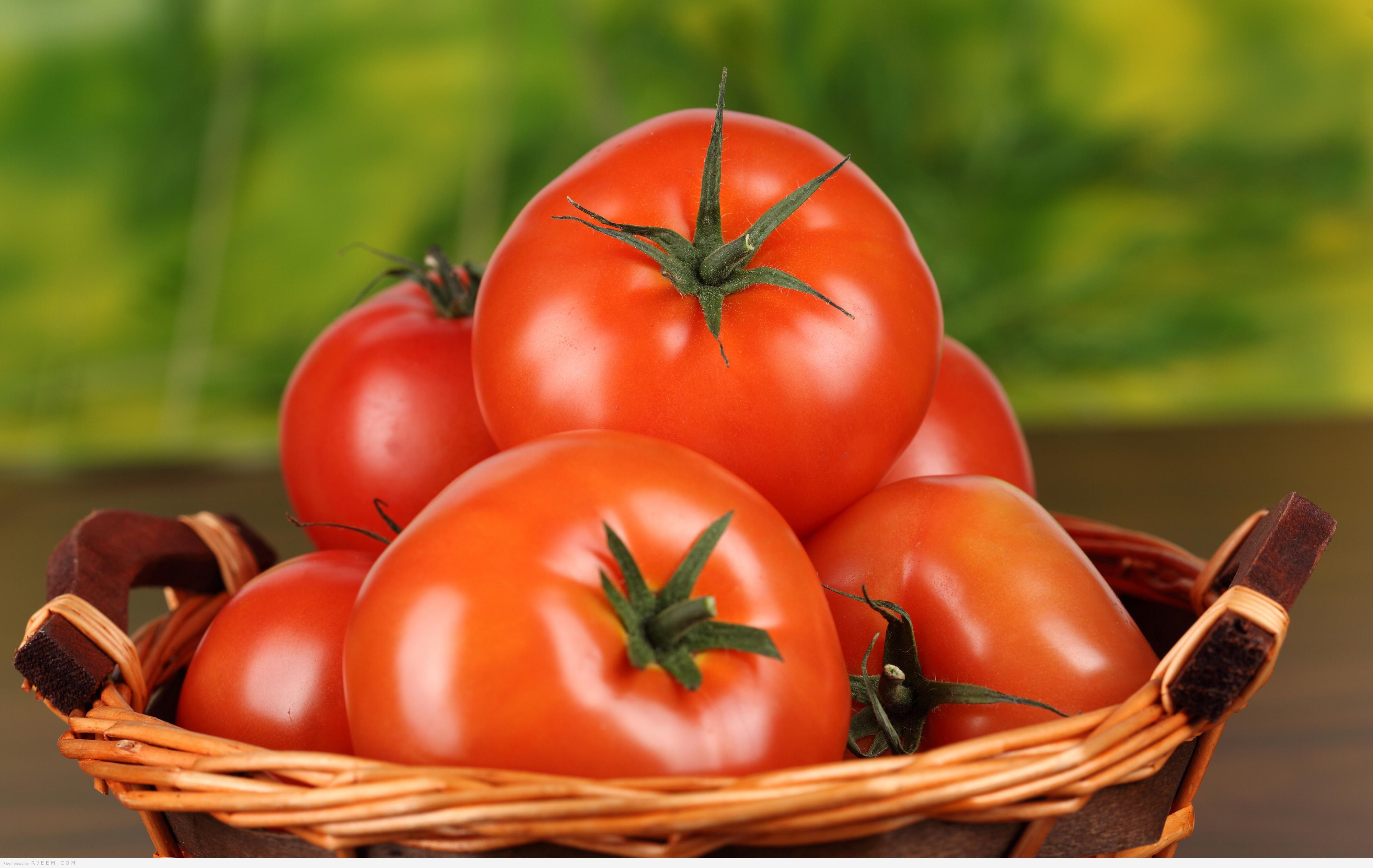 دراسة: الطماطم تكافح نمو الخلايا السرطانية