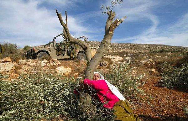 عرض فيلم “ن والزيتون” يجسد مأساة الفلسطينيين غدًا