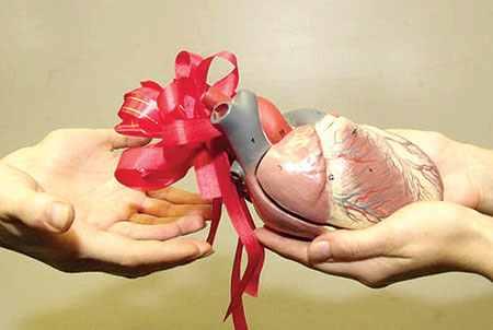 دراسة كندية: الأطباء أكثر فئة تتبرع بالأعضاء بعد الوفاة