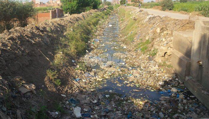 أحدثهم الاعتصام داخل الترع بعد جفافها..  4 ملامح لمعاناة مزارعي مصر