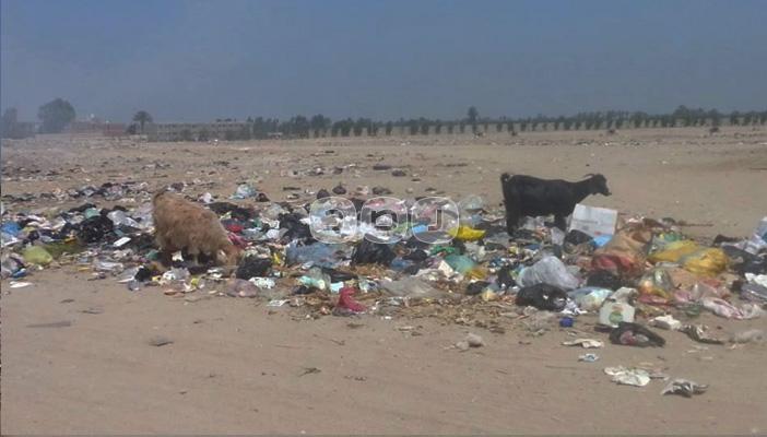 بالصور.. أهالي “أبو حماد” يستغيثون من القمامة وسط تقاعس المسؤولين