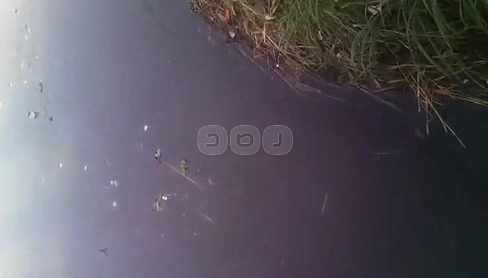 بالصور.. ظهور بقعة زيت في البحر اليوسفي