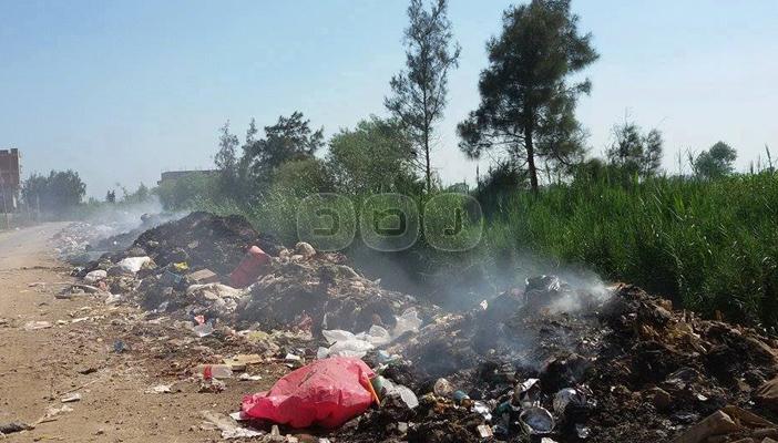 الدقهلية: القمامة تنتشر في “منشأة البدوي”.. والأهالي: فين المسؤولين؟