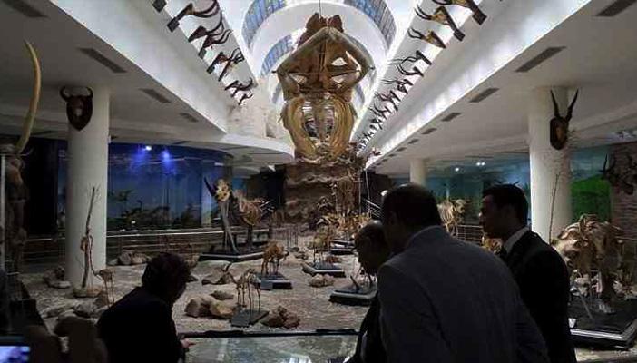 توقف المترو..غرامة لأساتذة القاهرة ..سقوط طائرة الغردقة..أبرز العناوين