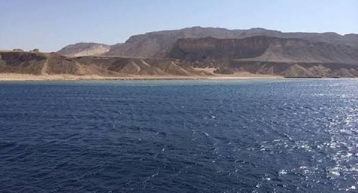 المفوضين تؤجل دعاوى بطلان اتفاقية “تيران وصنافير” لـ 15 سبتمبر المقبل