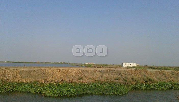بحيرة المنزلة.. تحت سيطرة البلطجية ولا مكان للصيادين