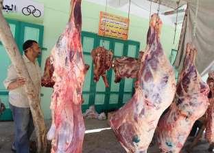 تعرَّف على أسعار الأسماك واللحوم والخضراوات بسوق العبور