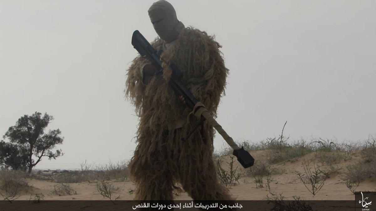 مجلة “إسرائيلية” تُحذر السيسي: “ولاية سيناء” مزودة بسلاح إيراني