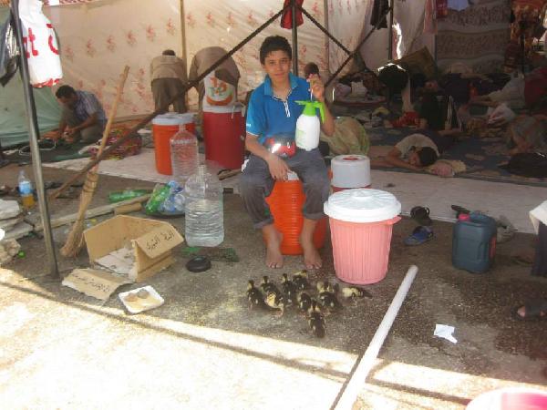 معتصمو رابعة:عندما يعود صغار البط إلي بيضه سنعود لبيوتنا