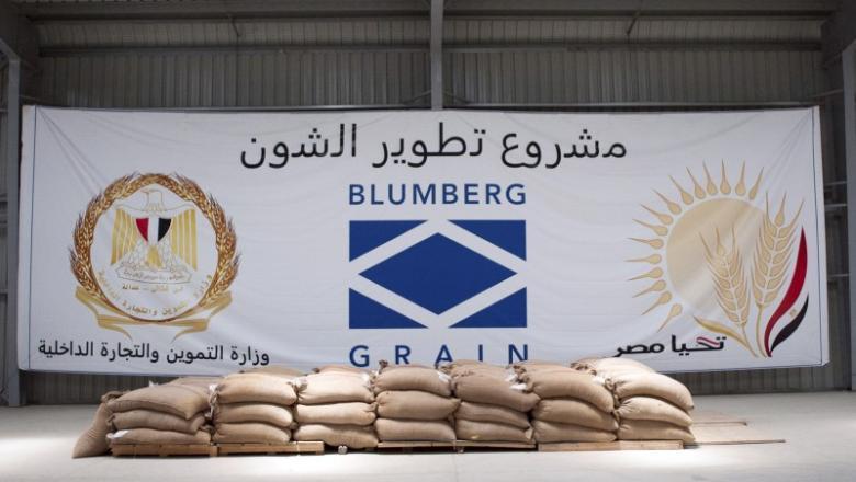 رويترز: “بلومبرج” تهدد بسحب 250 مليون دولار جراء الفساد في صوامع القمح