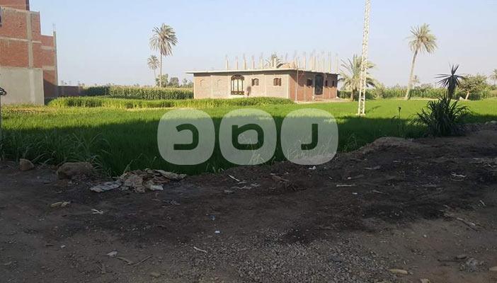 الزحف العمراني على الزراعات يزيد بالشرقية.. والأهالي: البناء أهم وأنفع