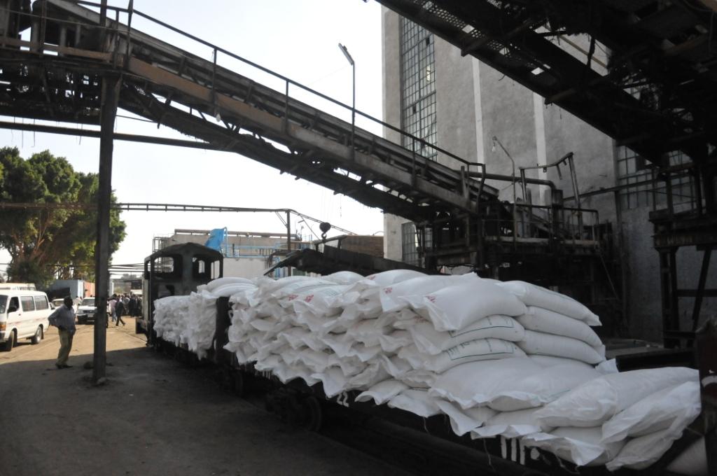 بسبب محاباة  رجال الأعمال.. شركات السكر تخسر 100 مليون جنية