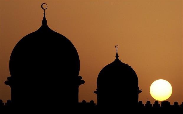 العلماجامية عصا فرعون وليست عصا موسى – سيلين ساري