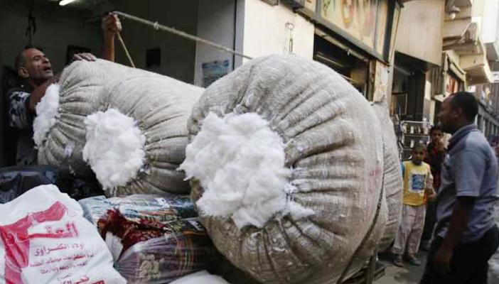 اتحاد المصدرين: 23% تراجعًا في صادرات القطن المصري