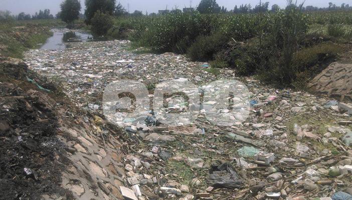 تلوث مياه الري بالقمامة يحاصر “السنطة” والأهالي: “انجدونا يا حكومة”